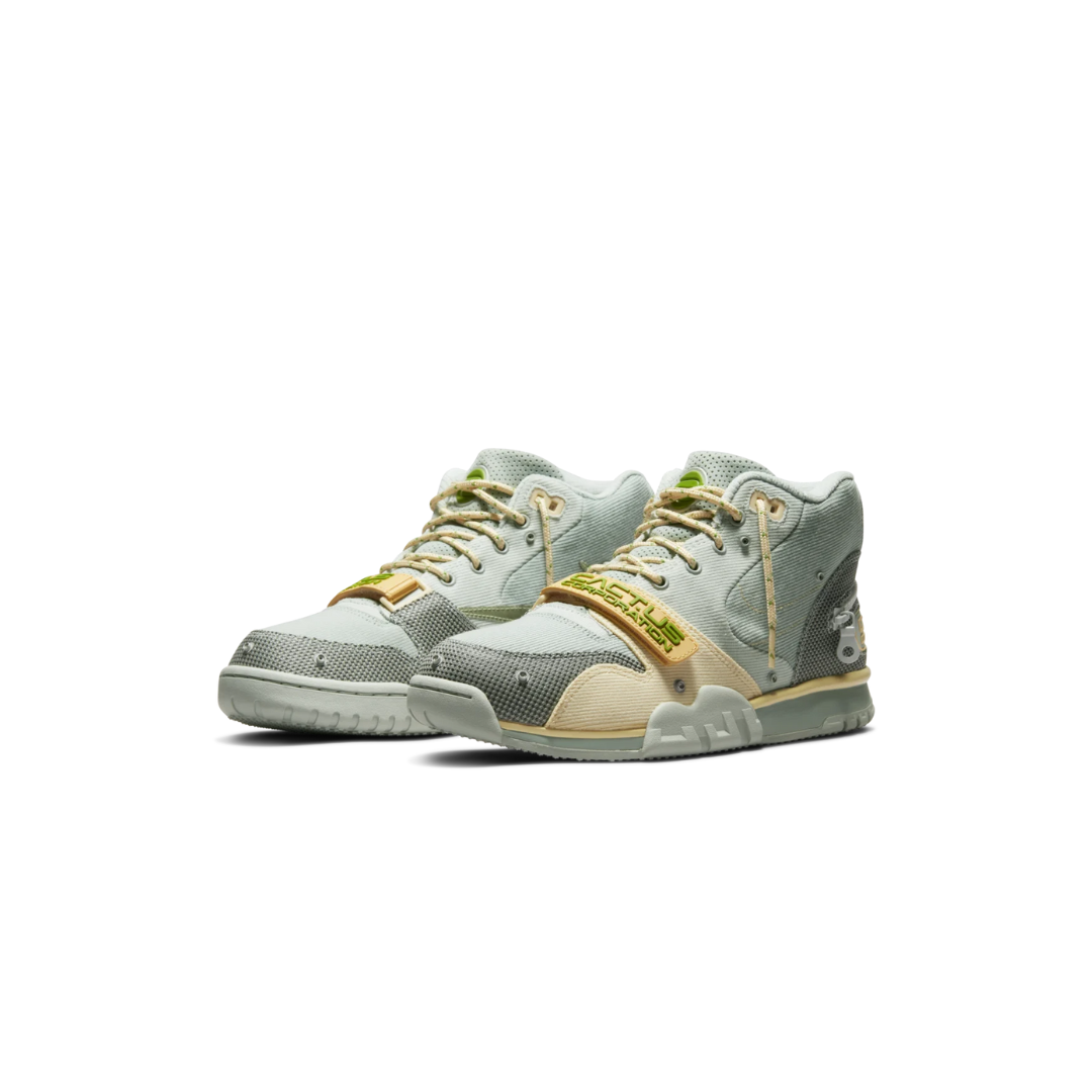 AIR TRAINER 1/CJ Grey haze